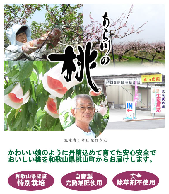 �������ɓ��B