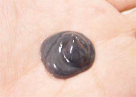 �D�Y�΃R���f�B�V���i�[