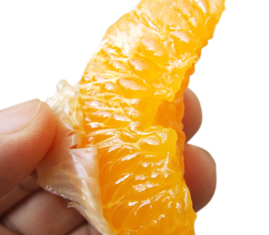 �����݂���