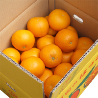 �͂�����