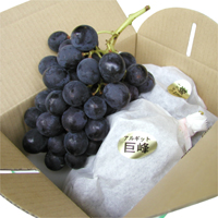 �L�c�݂���