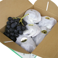 �L�c�݂���