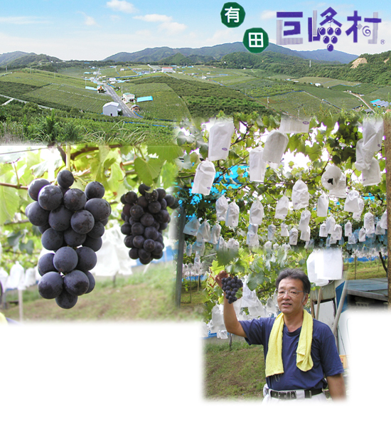 �c���݂���