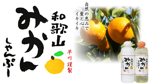 �I�����W�V�����v�[