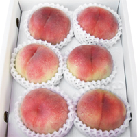 �����̓�