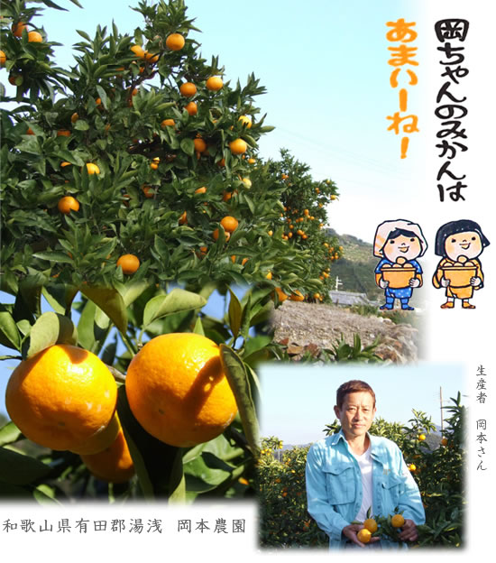 完熟有田みかん「岡ちゃんみかん」～岡本農園より産地直送