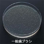 �\���f�[�R