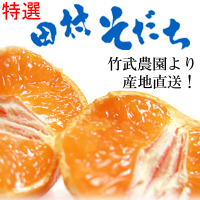 �L�c�݂���