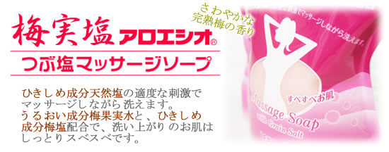 �~�����A���G�V�I