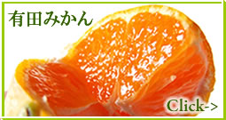 �a�̎R�݂���