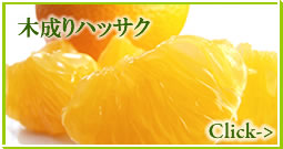 �a�̎R�݂���