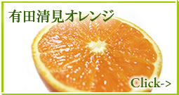 �a�̎R�݂���