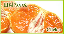 �a�̎R�݂���