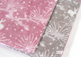 �F�T�����C�~