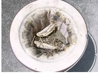 �΂�������